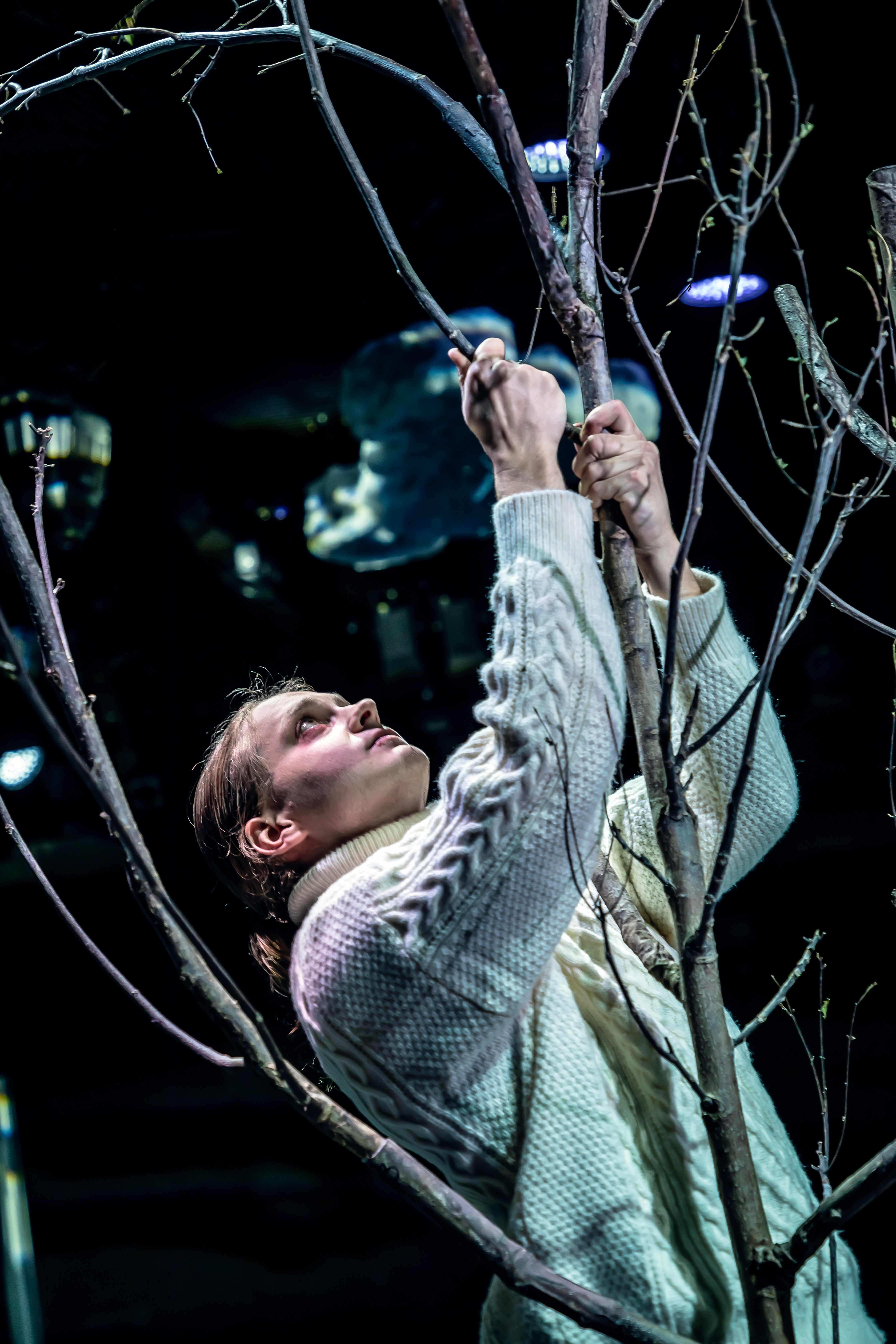 Henning Mittwollen im Baum.